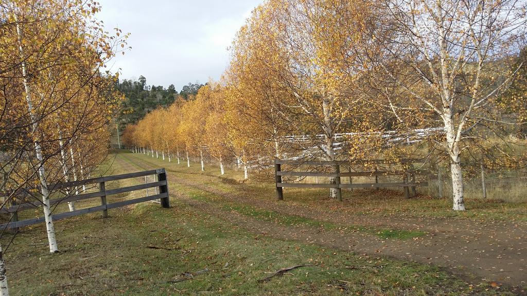 Scout Hall National Park Buitenkant foto